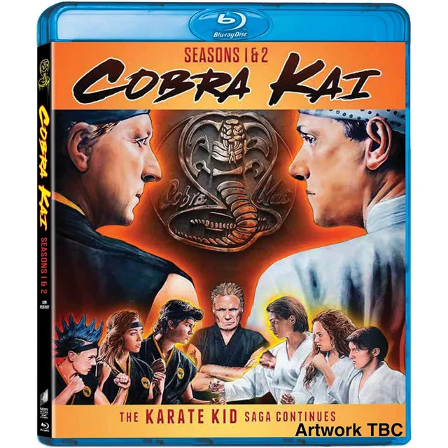 Cobra Kai - Staffeln 1-2