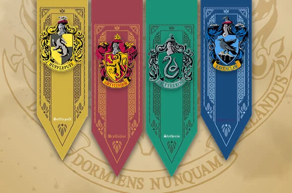 Hogwarts Haus T-Shirt